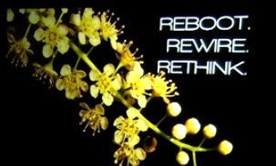 My today's resolution. Reboot, Rewire and Rethink my way of Life, Living, and my Destiny.