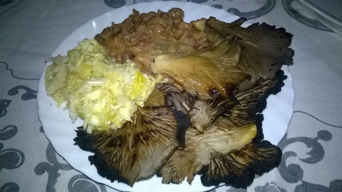 Posno jelo - postni pasulj, zapecen u rerni, domaci kiseli kupus, i domaca Organska Bukovaca, grilovana. Mozda bi bilo dobro dodati pecene krompir polutke u rerni, crno vino, i ako vec nije post, kajgana, neki lep cvrsti sir - ili Kamaber mazati na vruce krompir polutke, itd.