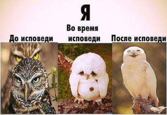 Dusevna stanja i ispovest.....
