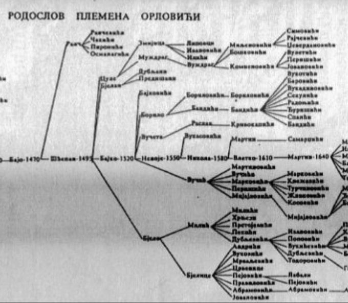 Rodoslov-Orlovici-Sekulici
