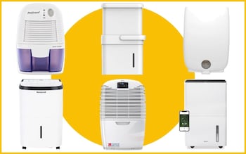 Best dehumidifiers 2022 Honeywell Meaco ebac ProBreeze